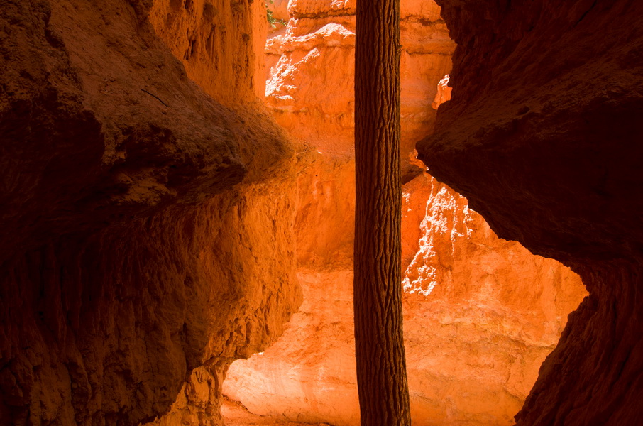 Bryce canyon – Navajo loop